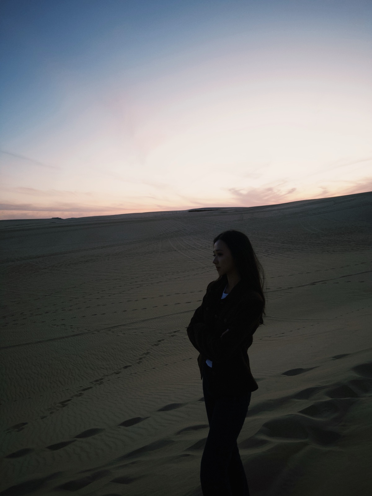 Stoney in the Sahara Desert